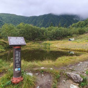 天気よくなるんじゃ…？