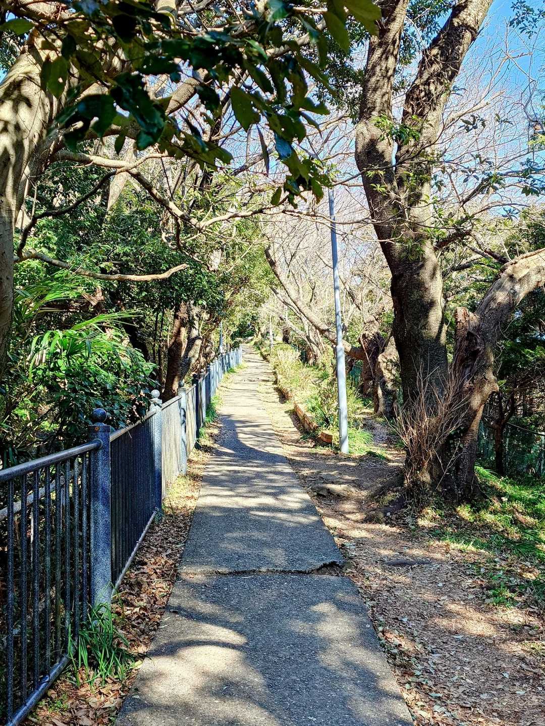 歩きやすい