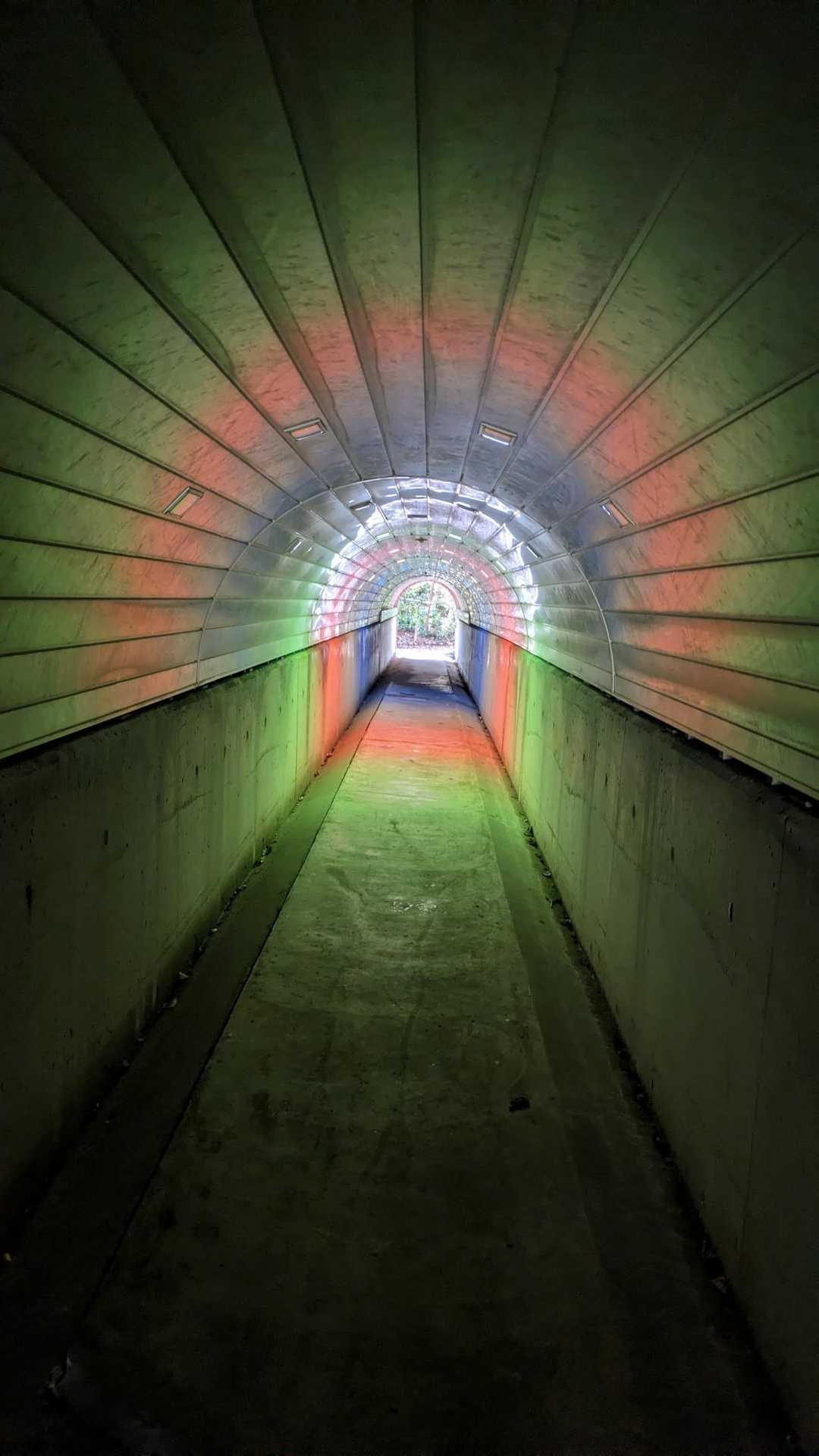 高木山 周回コースの写真