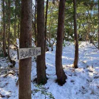 展望台に立ち寄ろう！