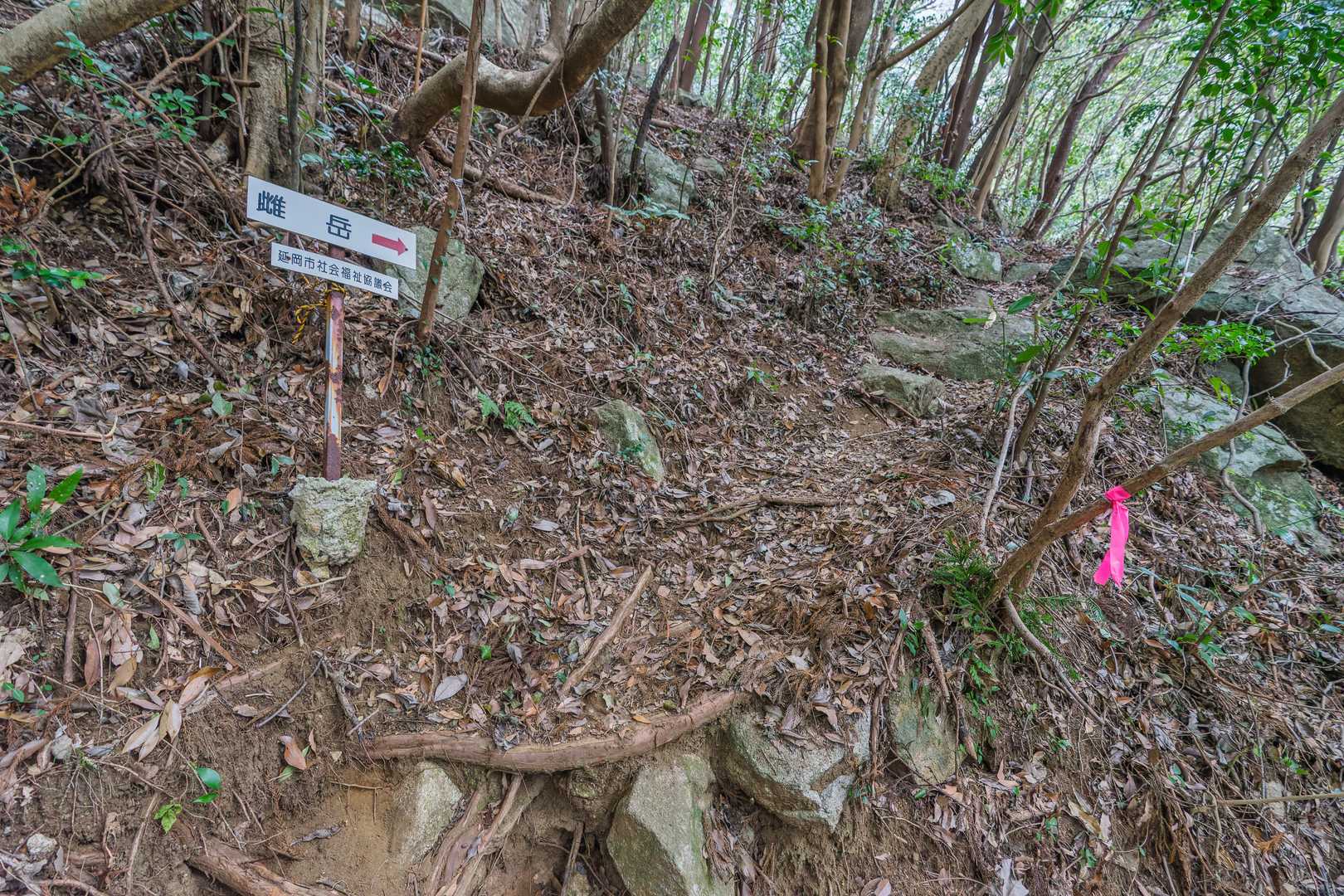 雌岳ルートは不人気なのか一般登山道みたいな道になる
