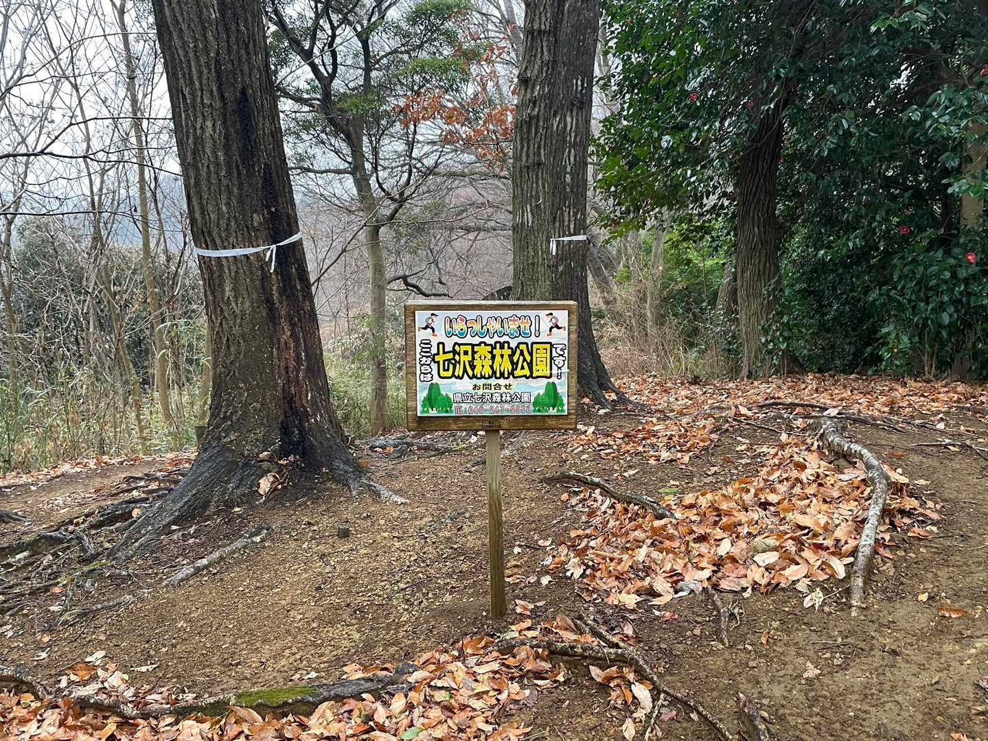 七沢森林公園の中を歩いている