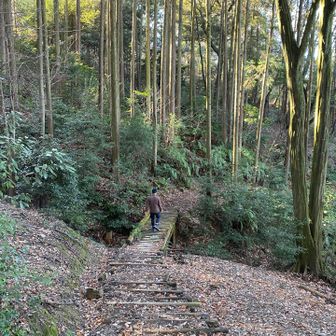 この道もいい🍂
