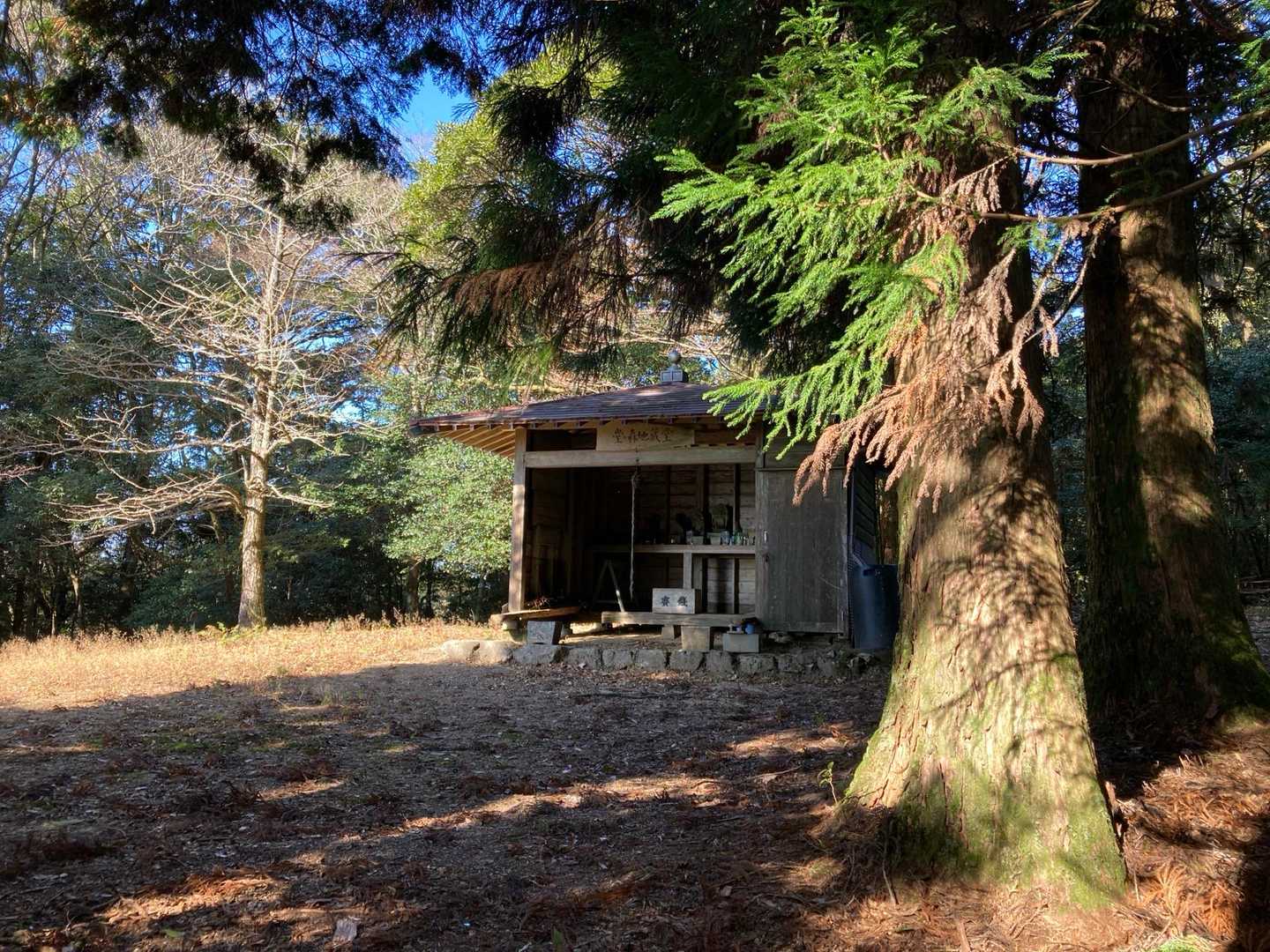 堂ヶ森地蔵堂に挨拶
少し過ぎたところに三角点がある

登山口からは落ち葉ツルツルの少し急な道だけど
アカガシの巨人もいるし
雰囲気が近所の山を歩いてるみたいで和んだ