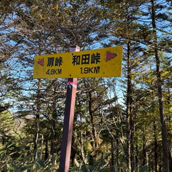和田峠から1.9km地点、三峰山までまだまだ先ですが、頑張ろう💦