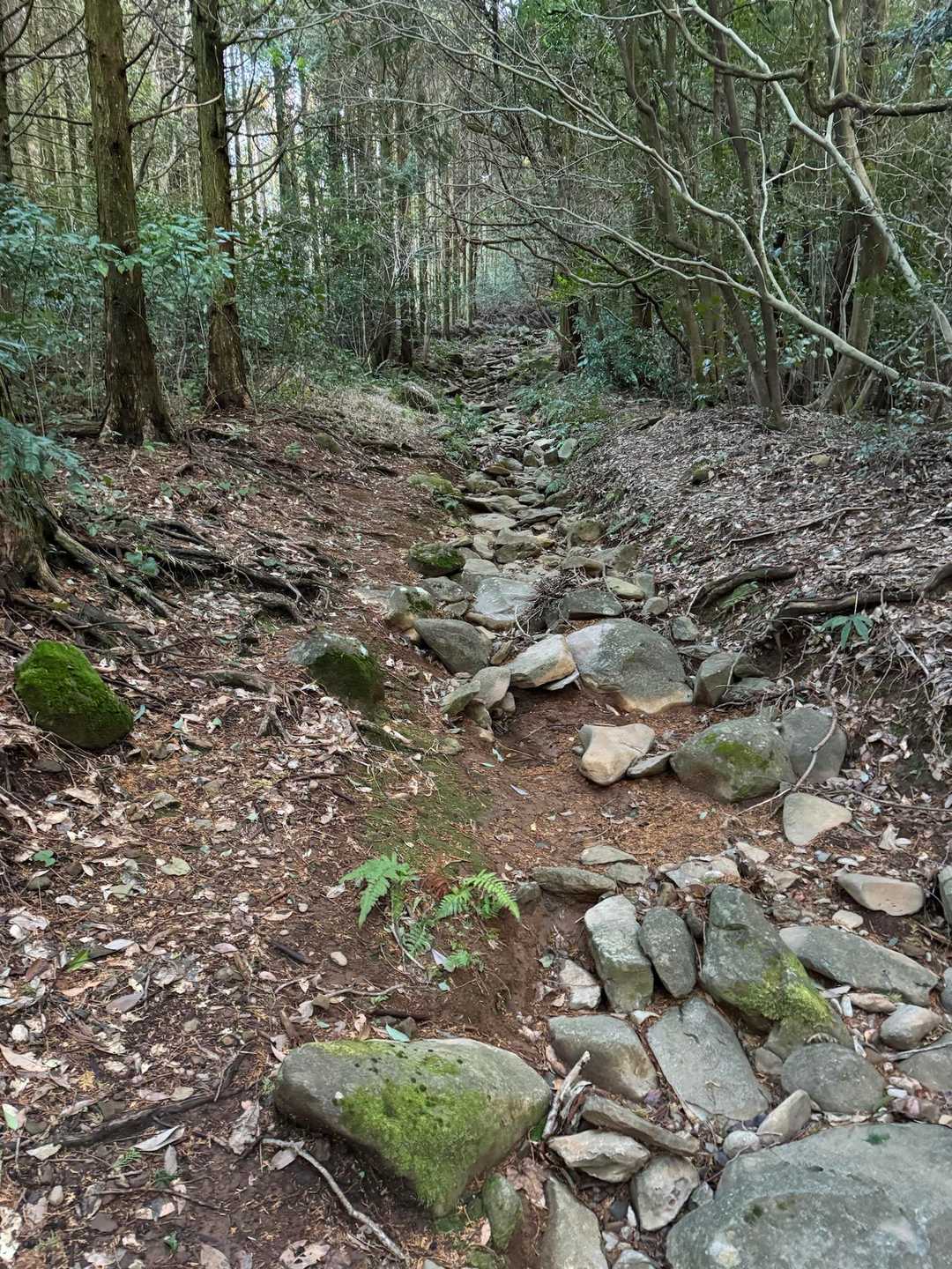 烏帽子岳 往復コースの写真