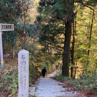 ながーい階段が続く😂正面からお参りすると、なかなかハードでご利益上がりそう！