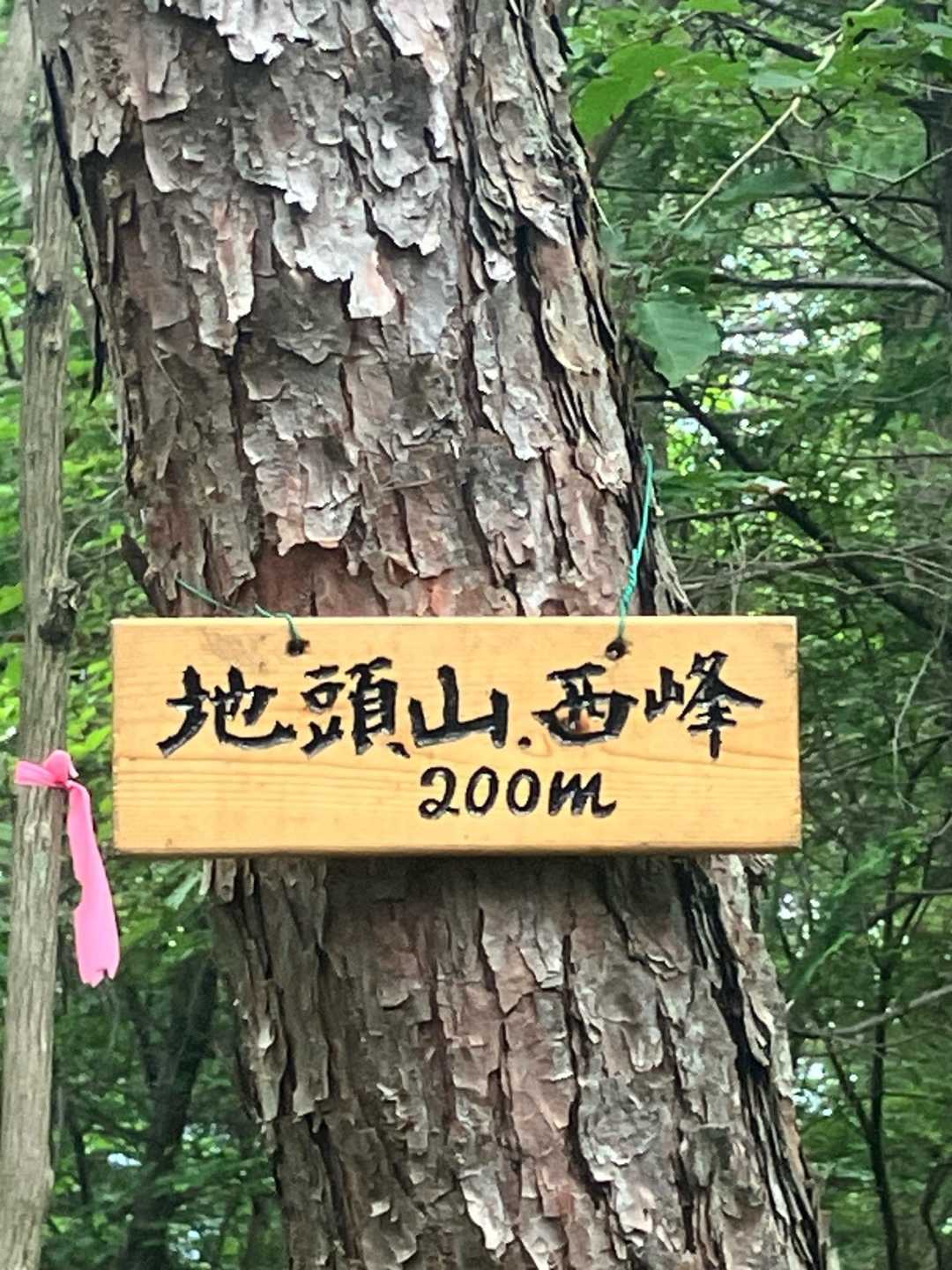 ここも直ぐに地頭山（西峰）に到着出来ました💪
眺望無しでした。