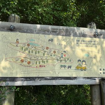 片岡山駐車場から登山開始