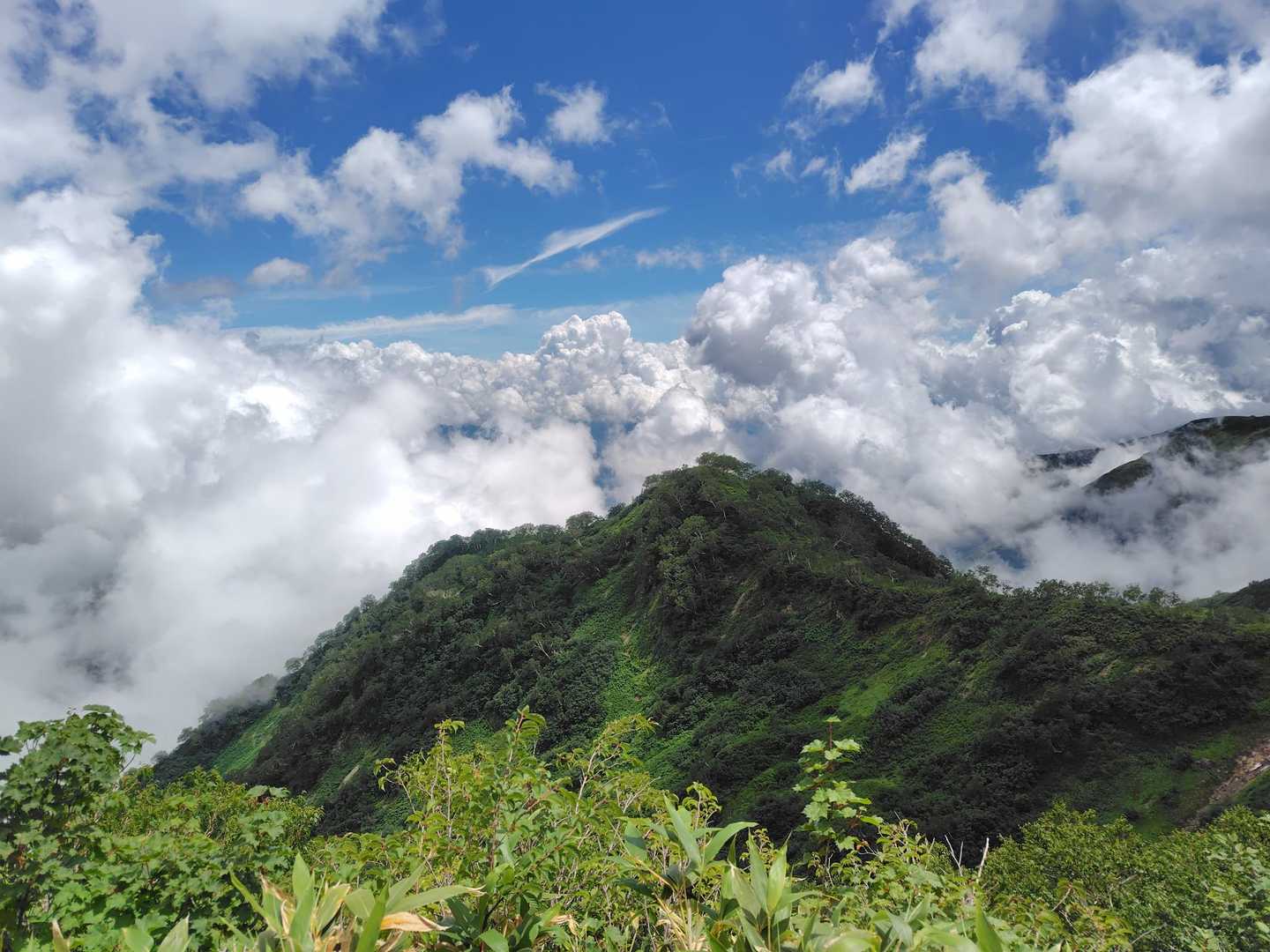 猿倉登山口-白馬鑓ヶ岳 往復コースの写真