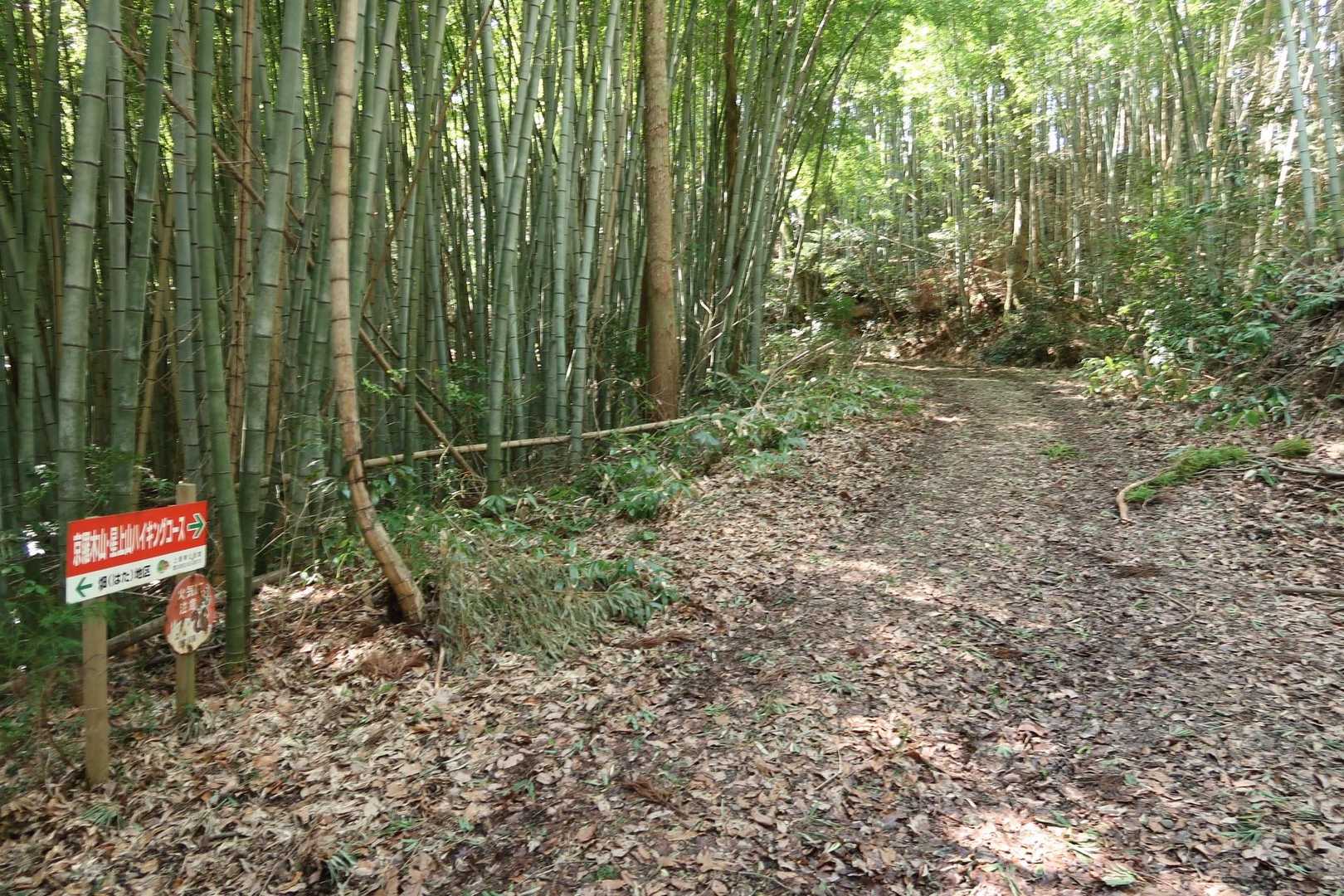 やがて広い道に合流