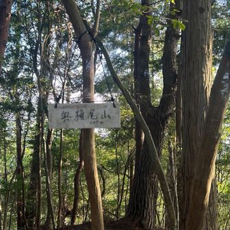 奥槇尾山山頂