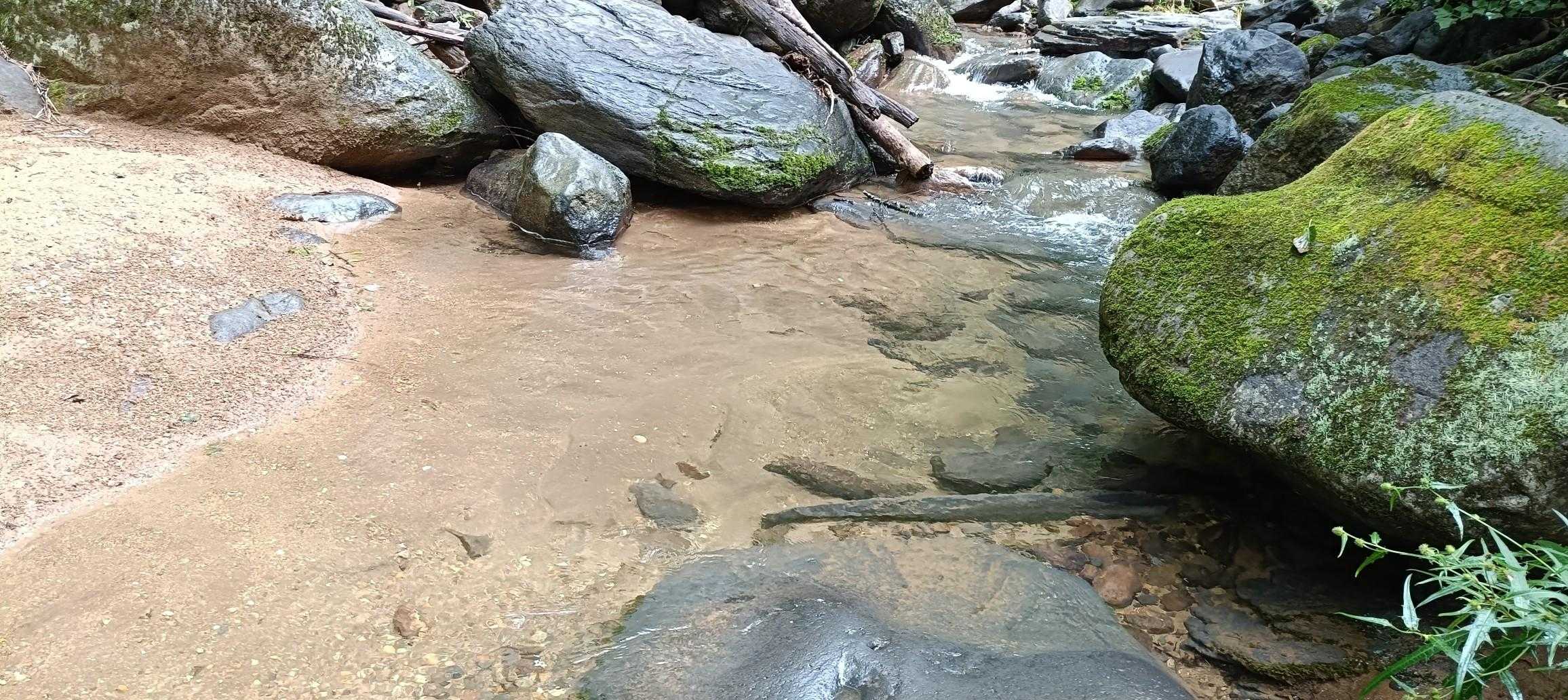 水も綺麗✨
