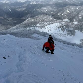 青い空と元気な羚