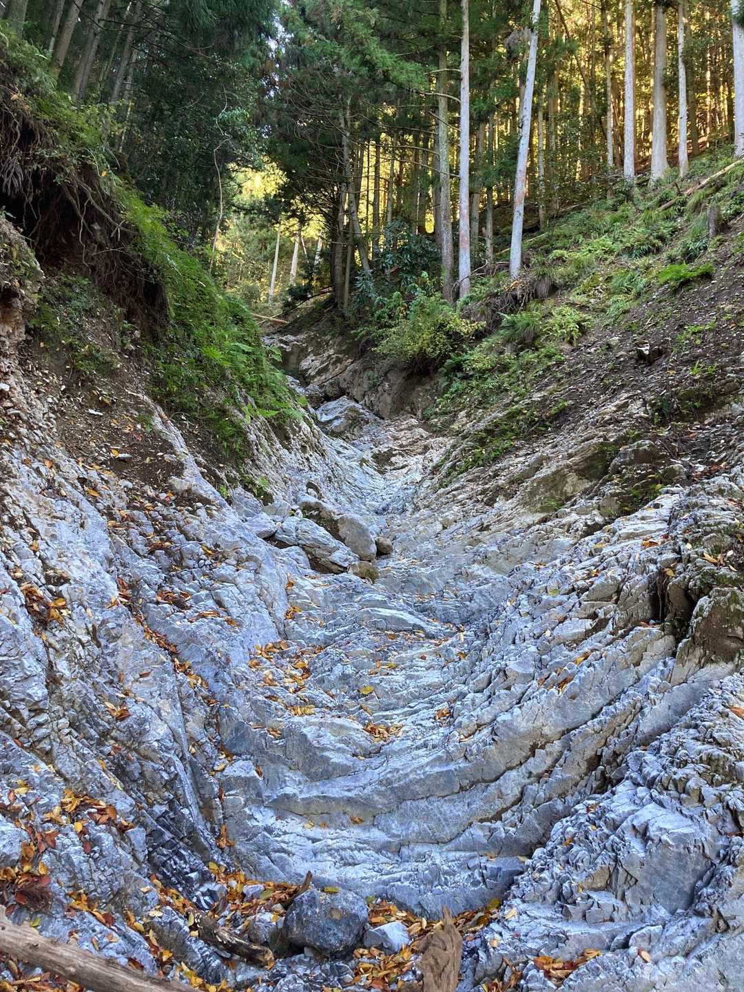 少し谷を登ります。白い岩、綺麗だった