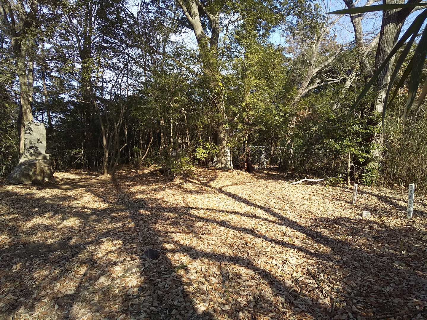 米山頂上（地図では観音山）
