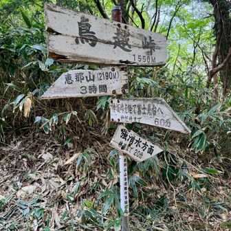 鳥越峠。
ここを千両山方面へ進みます。