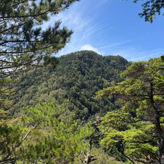 あれが御座山かな⁉️