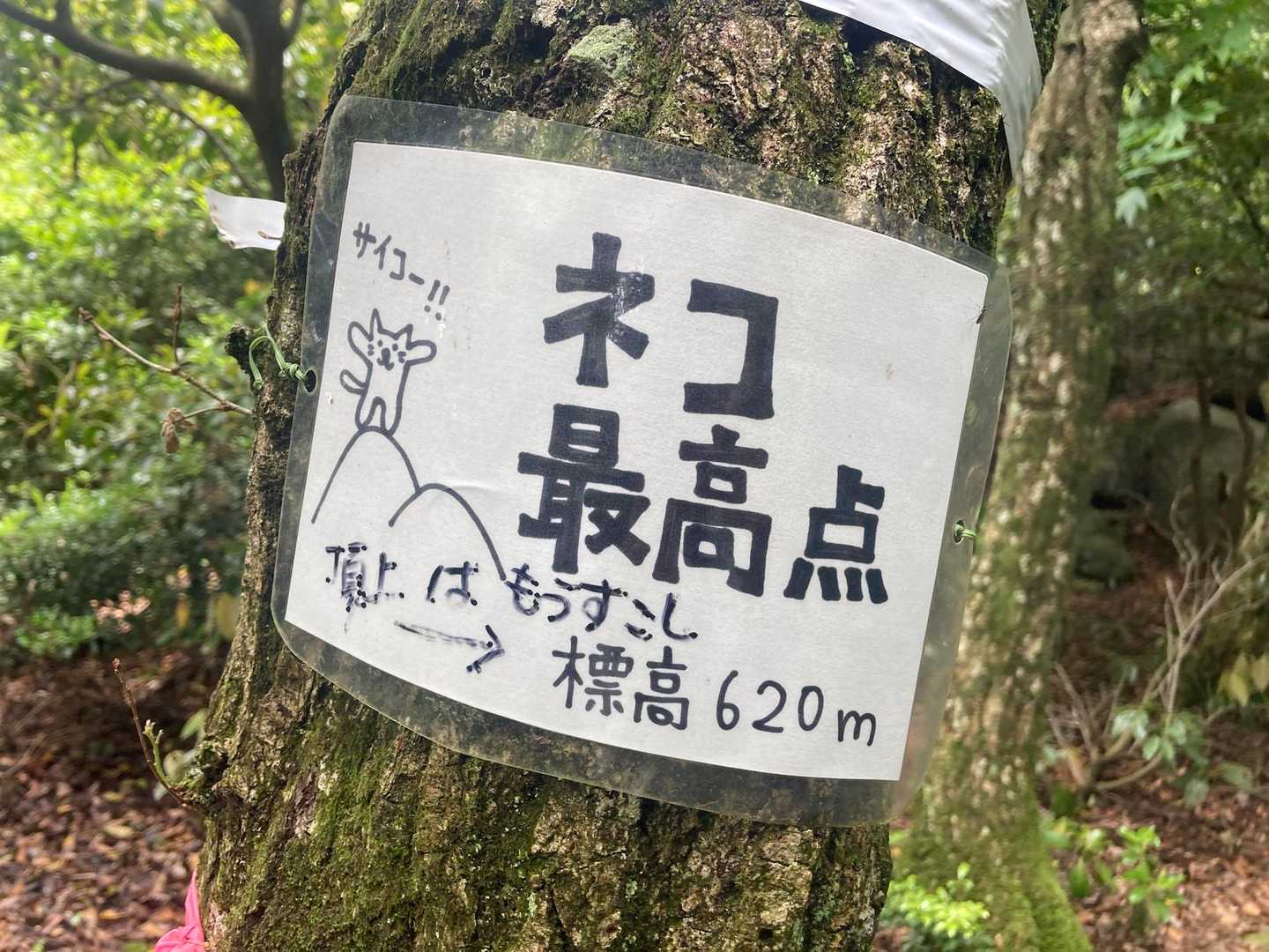 菰野富士登山口-ネコ最高点-ネコ-笠岳-菰野富士 周回コースの写真
