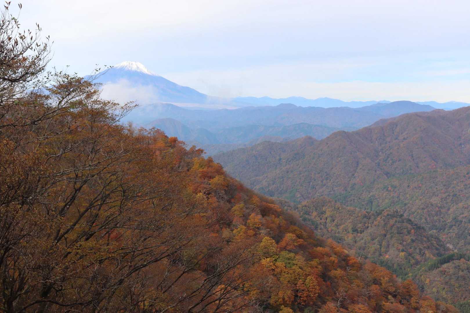 大倉登山口-鍋割山-塔ノ岳 周回コースの写真