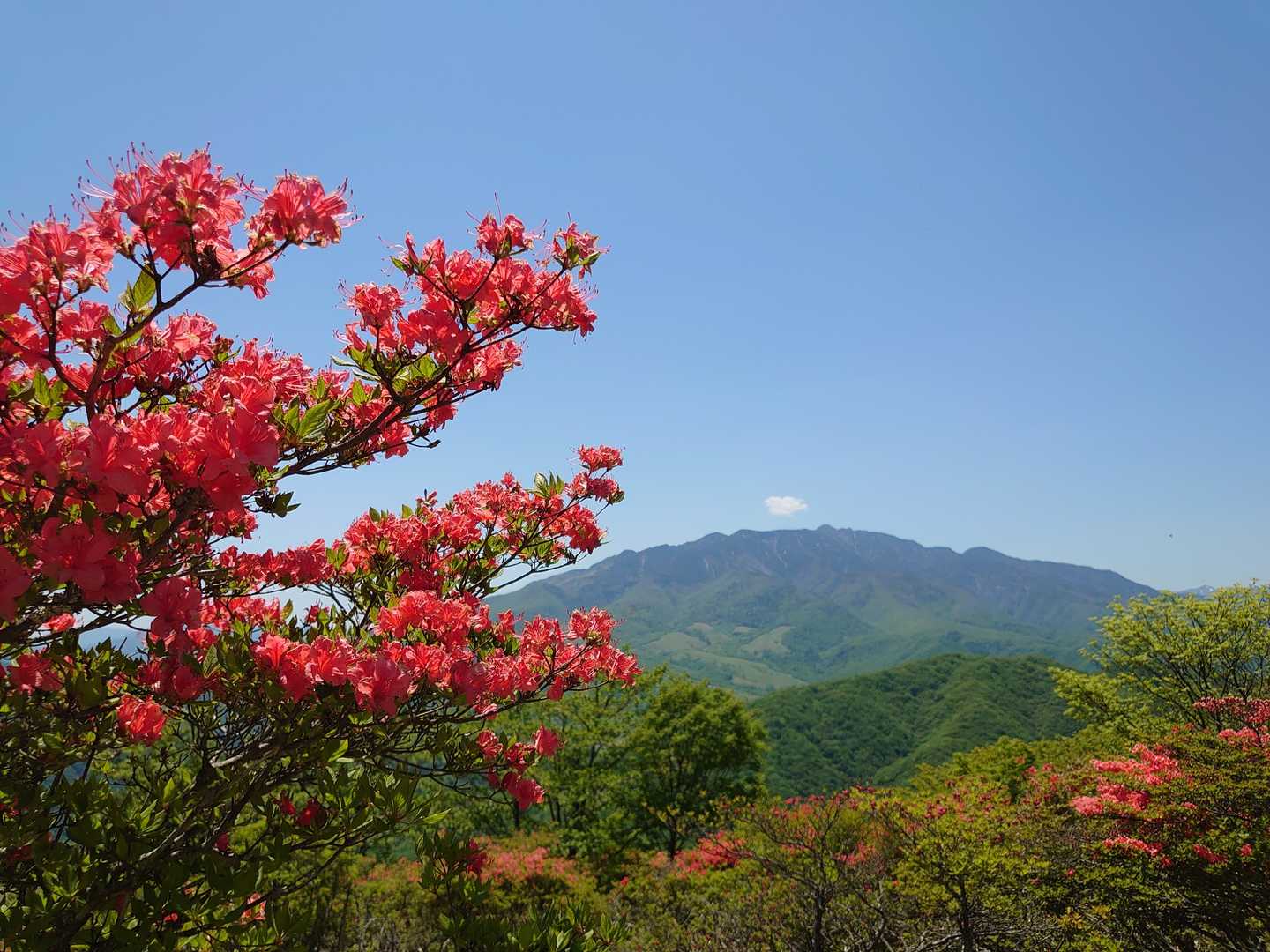 わぁーーーっ❗いい景色〜✨😍🏞️
来て良かった〜(*˘︶˘*).｡*♡