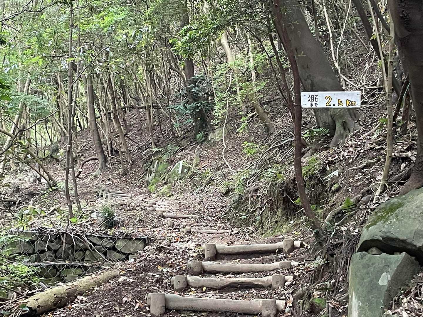 後2.5キロ