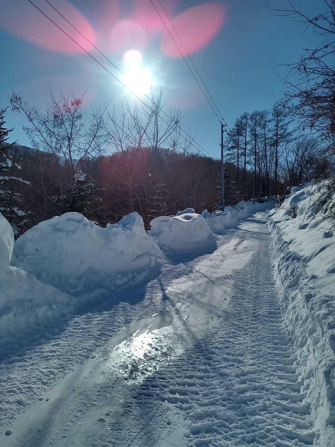 除雪のブルが通ったばかり…
陽射しが凍った雪に反射して輝いてる〜✨️