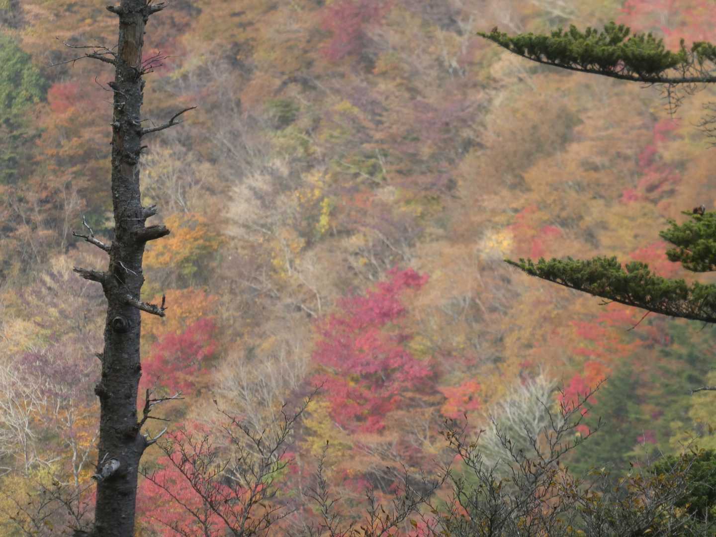こんな山の景色を見ながら下ります✨