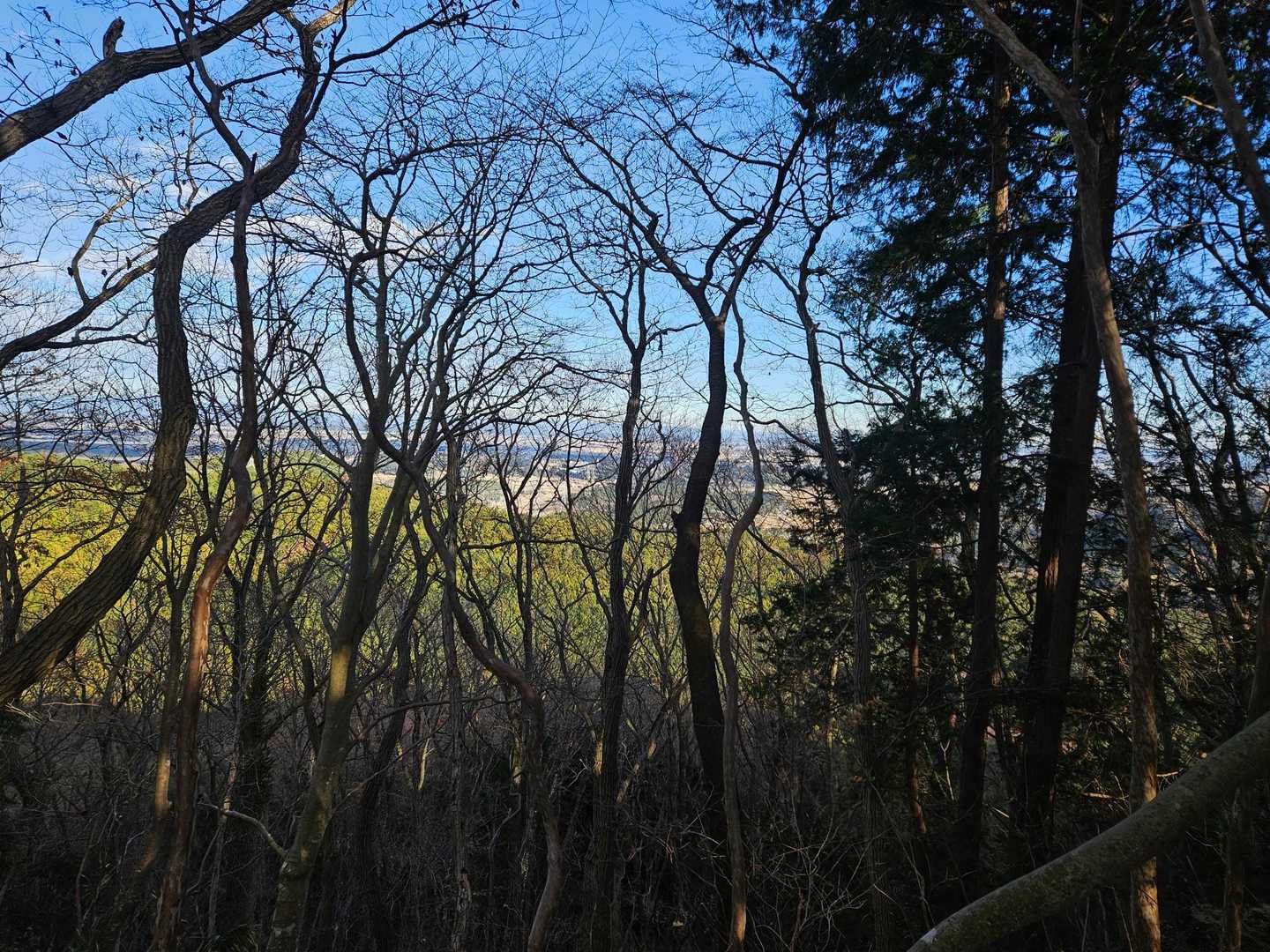 子どものもり公園登山口-本山-飯盛山-高舘山-黒戸山-中徳 縦走コースの写真