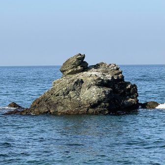 まさしく蛙🐸だ！