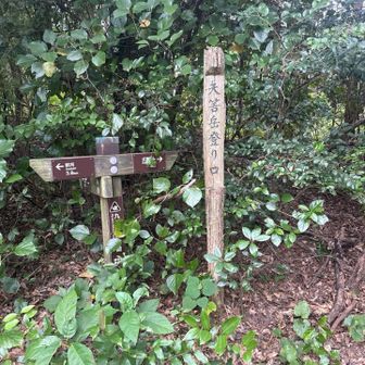 緩やかな登り😌