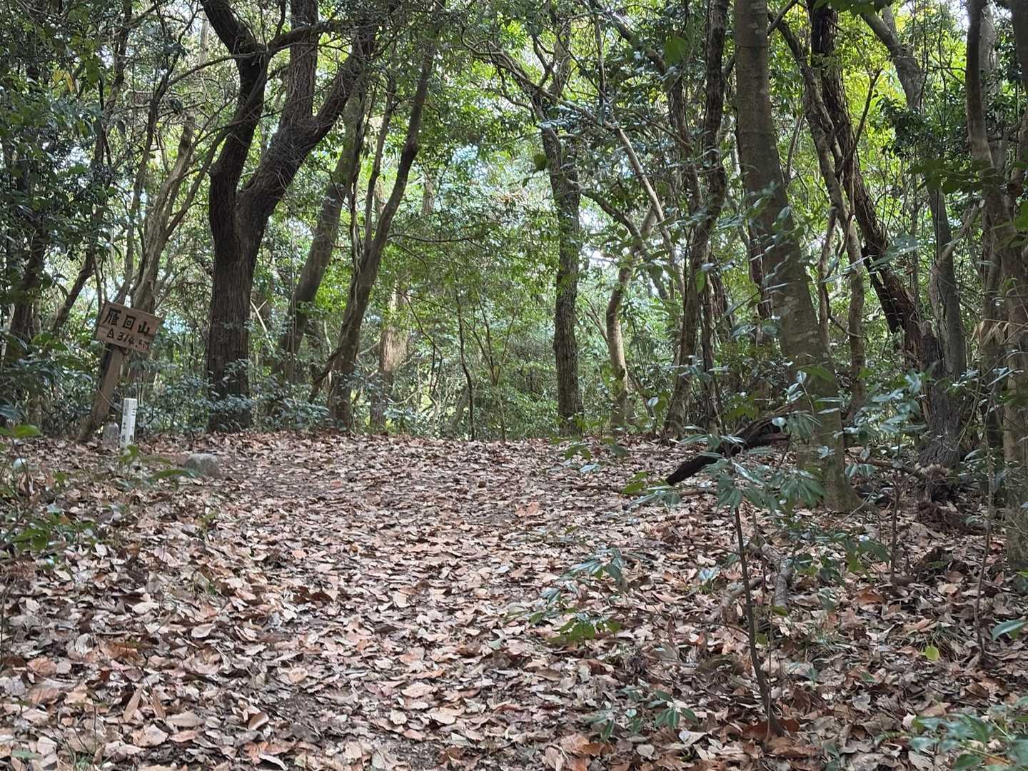 雁回山 周回コースの写真