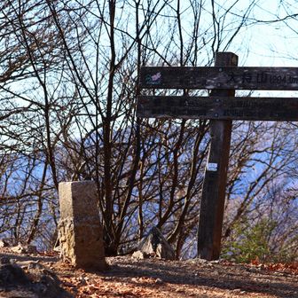 大持山に着きました。