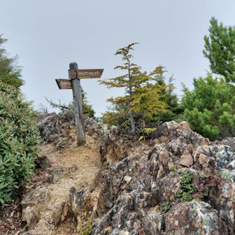 大山山頂