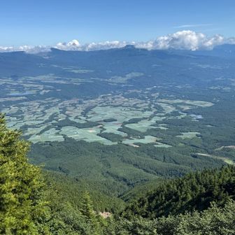 田んぼの緑が綺麗
秋は黄金色になるのかな