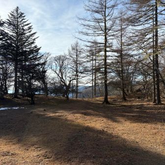 ここがテント場かな？地図と少しだけズレます。