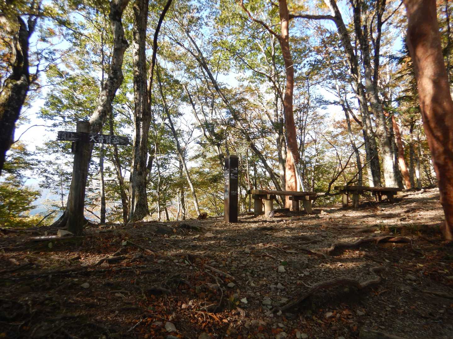 大普賢岳の登山道も綺麗ですね。