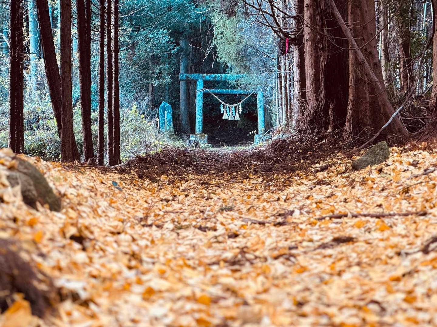仏具山登山道入口-五社神社-仏具山 往復コースの写真