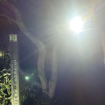 今年の登り納め