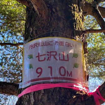丹沢低山こそ面白い！
確かに👍
