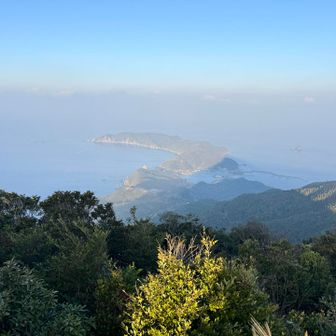 コレばっかり撮ってまうわ〜Σp📷ω･´)
ちょっと霞んでて残念🥲