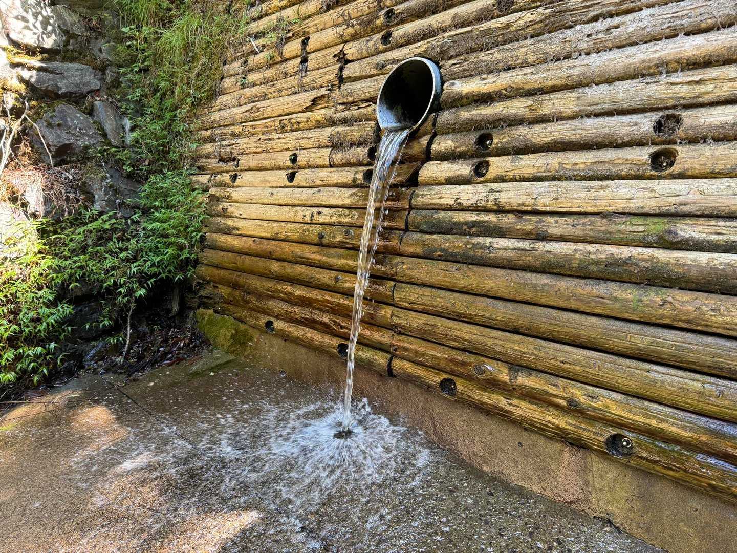 水圧で、コンクリートの色が変わってる‼️