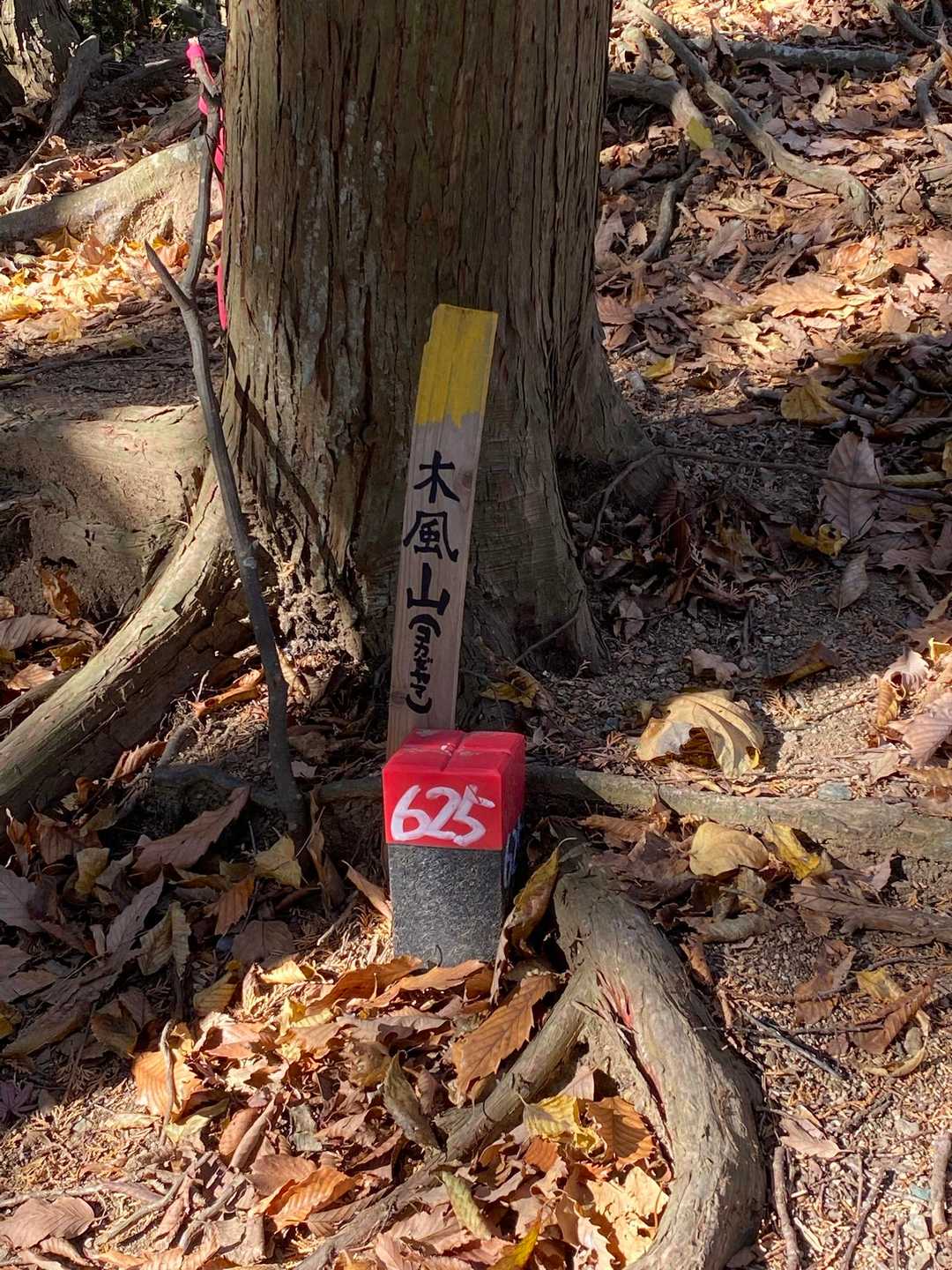 かわいいお名前☺️