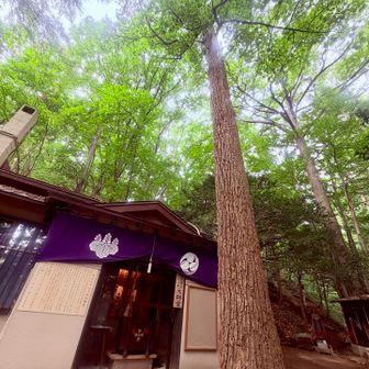 　　　円山を無事下山