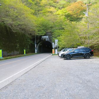 戻りました。