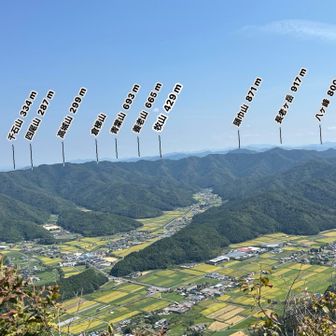 色々見えます