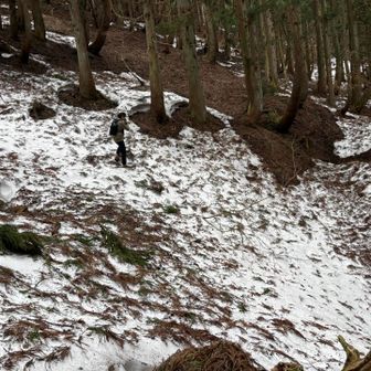 それぞれ安全なルート探し