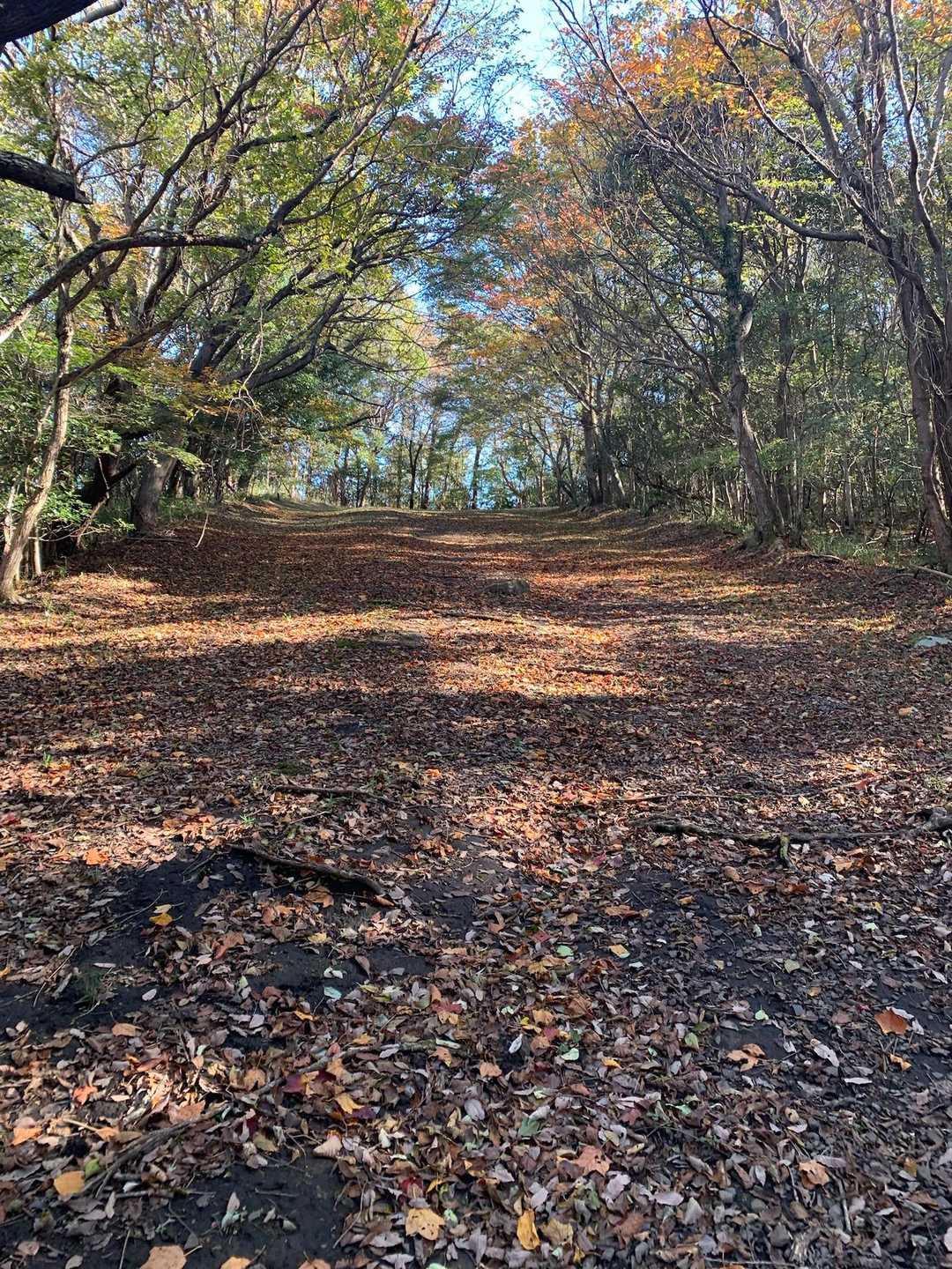 広〜い登山道です。