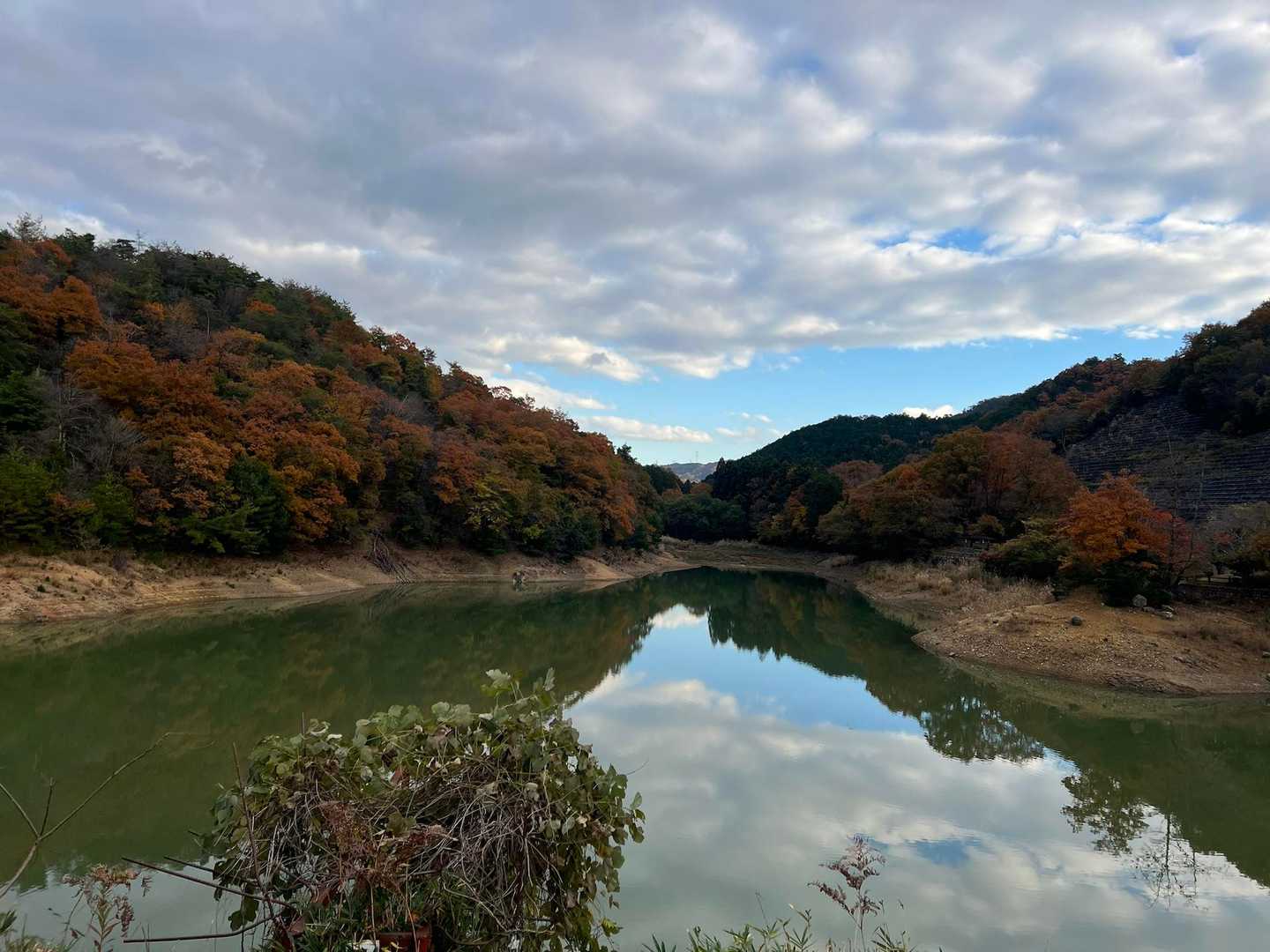 降りてきました。
山道に入らず車道をピストンしました。
それが最短距離みたいです。