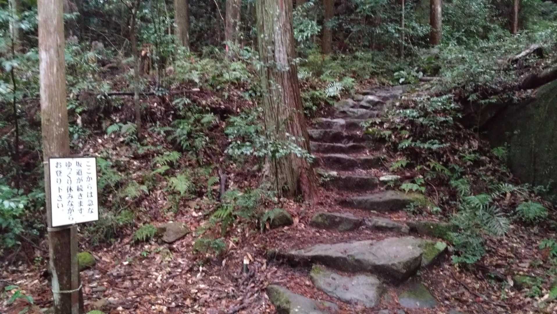 最初だけ急でしんどいけどそれ登ったらあとは楽やから〜
って聞いてたから気合い入れてGO💨